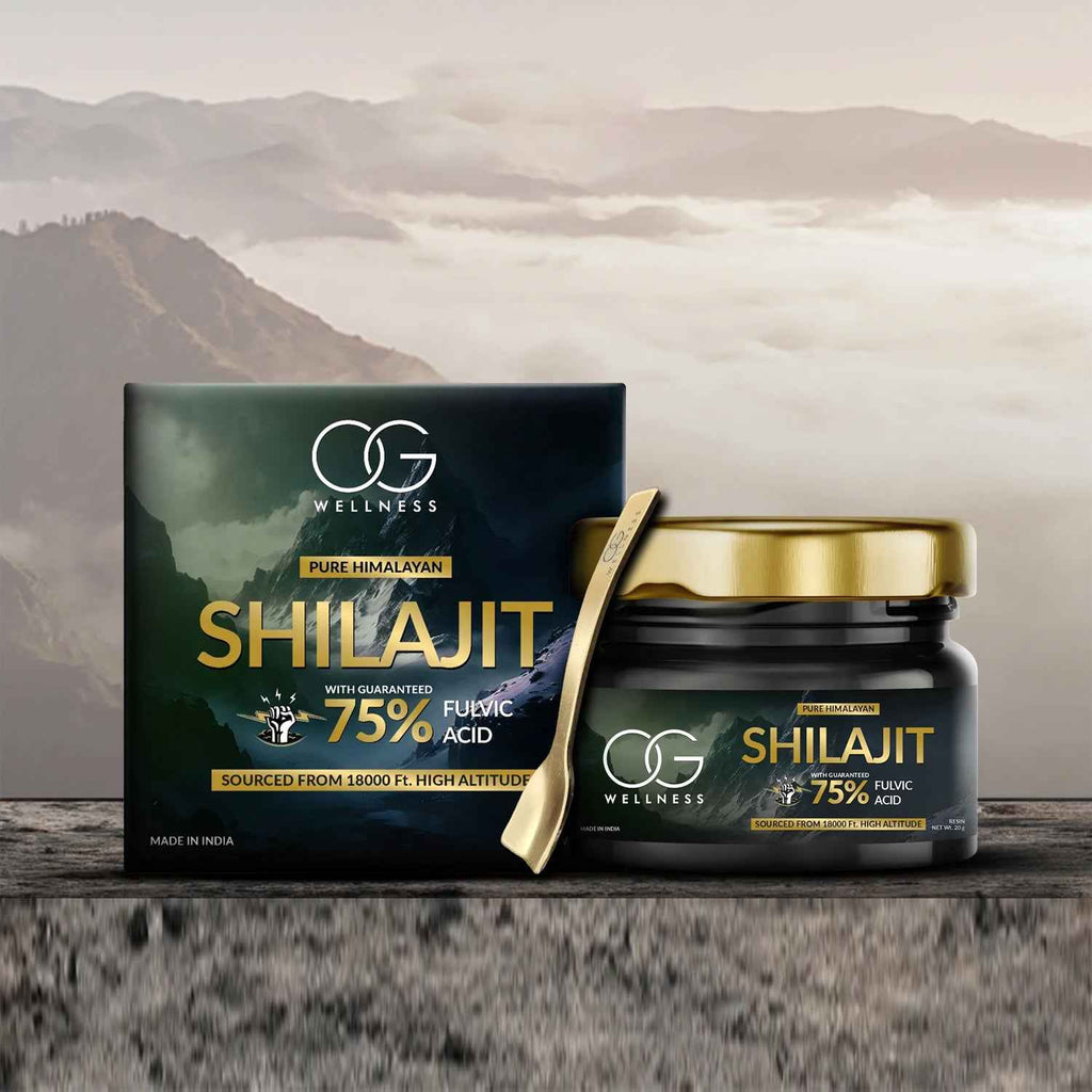 Pure Himalayan Shilajit Resin 20gm – LifestyleKart