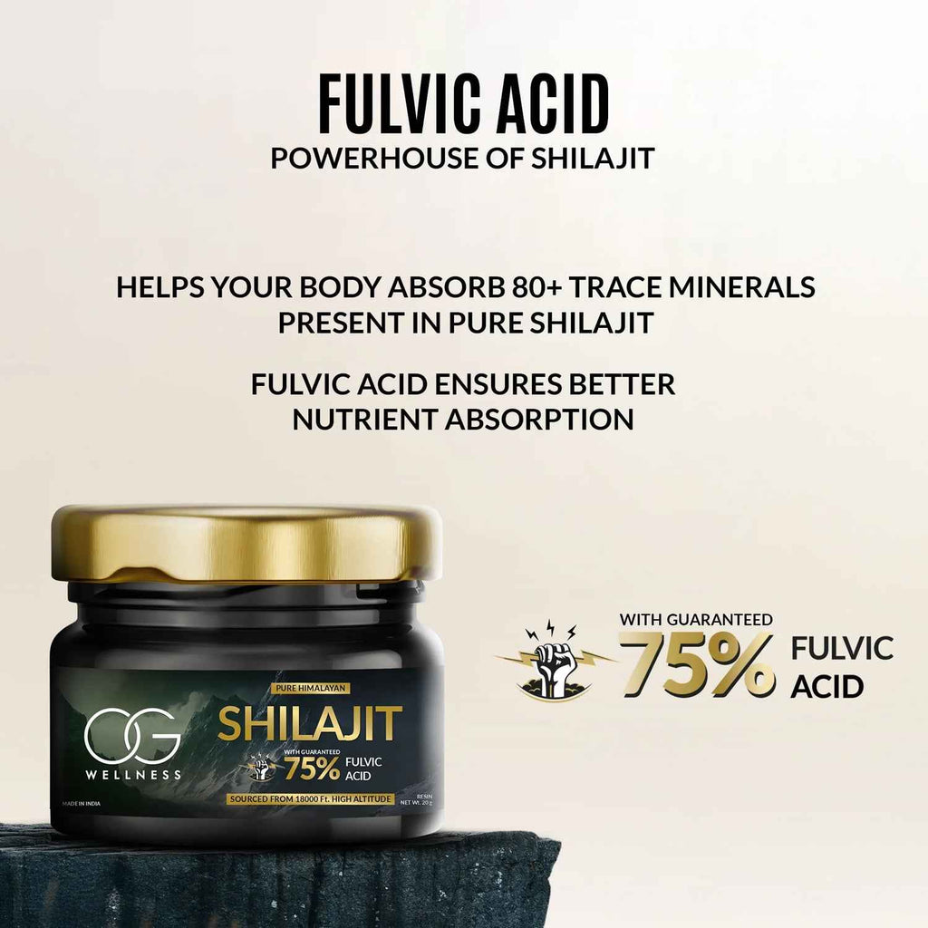 Pure Himalayan Shilajit Resin 20gm – LifestyleKart