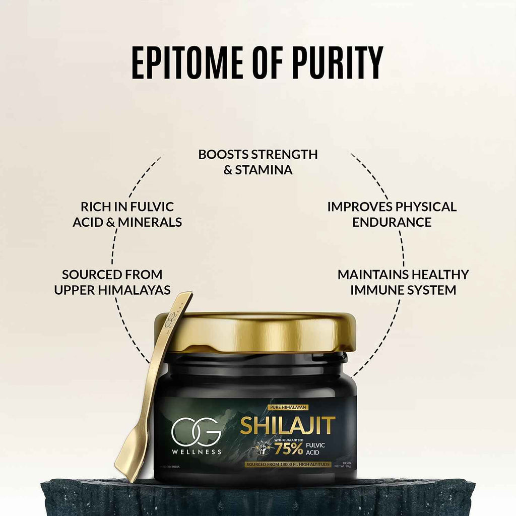 Pure Himalayan Shilajit Resin 20gm – LifestyleKart