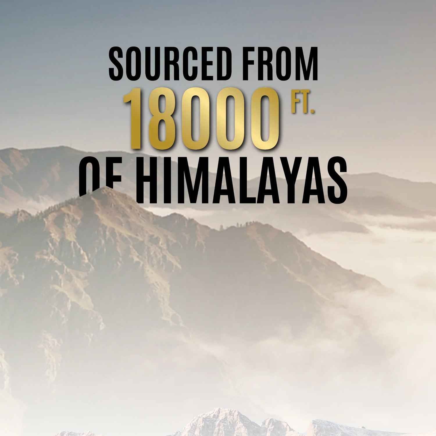 Pure Himalayan Shilajit Resin 20gm – LifestyleKart